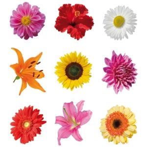 Blomstermotiver