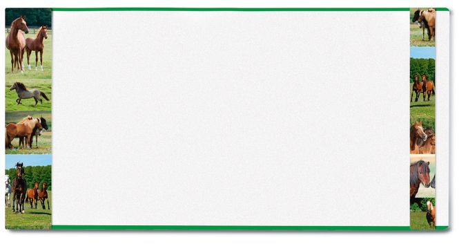 Hovedbilde HERMÄX ferdigbind til bøker, Hest, 265x540 mm (5 ...
