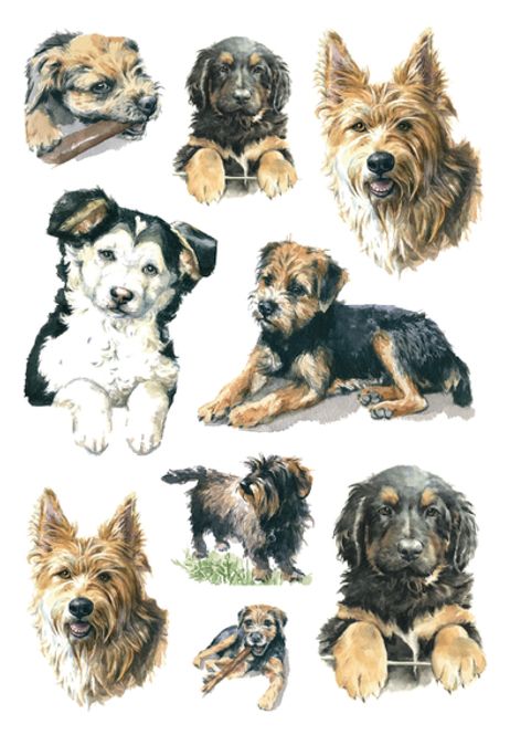 Hovedbilde DECOR Stickers Hunder, 3 ark (10 pakk)