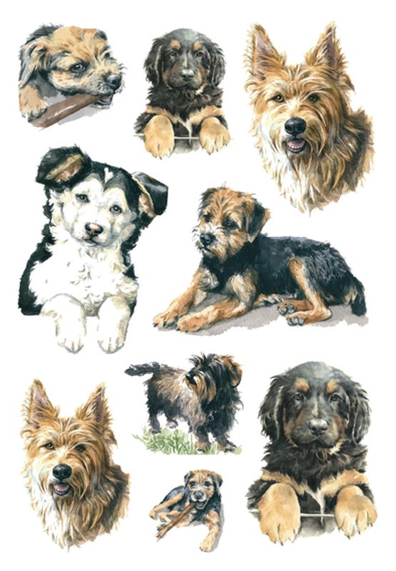 DECOR Stickers Hunder, 3 ark (10 pakk)
