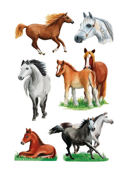 Hovedbilde DECOR Stickers  Forskjellige hester, 3 ark (10 ...
