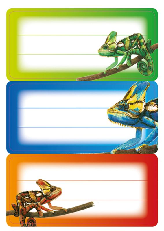 VARIO boketiketter Gecko, 3 ark (10 pakk)