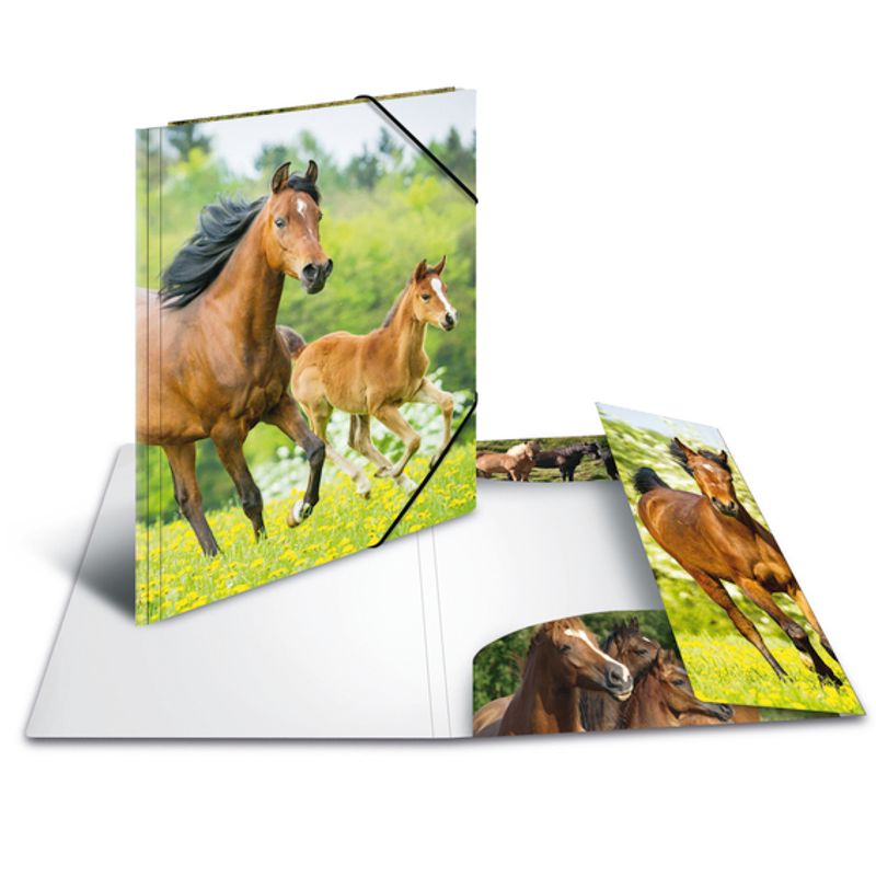 HERMA strikkmappe i plastmateriale, A4, Dyr, Hest (3 pakk)