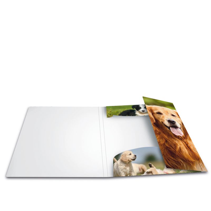 HERMA strikkmappe i plastmateriale, A3, Dyr, Hund (3 pakk)